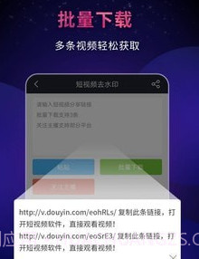 飞狐视频去水印v4.4.0.21截图