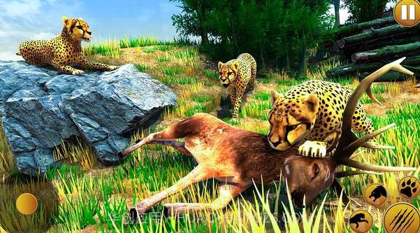 猎豹家庭模拟器V1.13截图