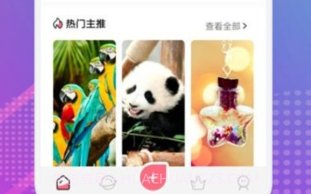 小猪壁纸大全v1.0.19截图