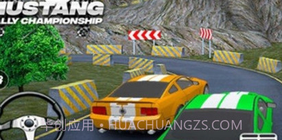 赛车拉力锦标赛v2.20截图