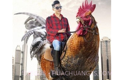 Pixomatic抠图神器专业版v5.4.16截图