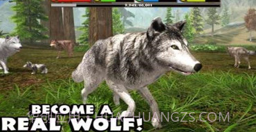 灰狼模拟器2v1.1.15截图