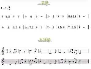 江音统教V1.3.15截图