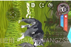 3D动物模拟器v13.17截图