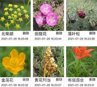 晓草草原植物识别v2.1.12截图