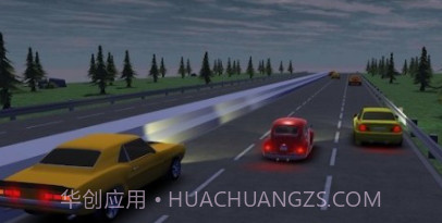 疯狂的赛车司机v0.22截图