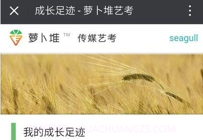 萝卜堆艺考v1.22截图