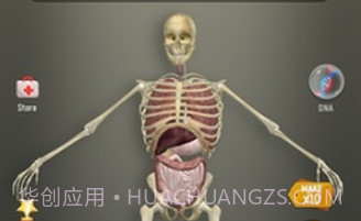 放置人类2v1.0.17截图