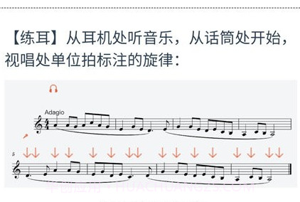 山东音协考级v1.0.16截图