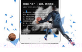 ballislove篮球下载(ballislove篮球资讯软件)V3.7.3 安卓简化版V3.7.16截图