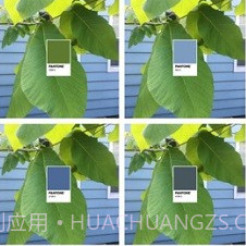 pantonev1.7.18截图