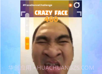 facedancev4.0.14截图