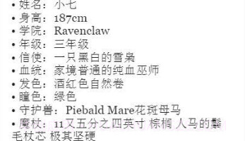 巫师人设生成器v1.18截图