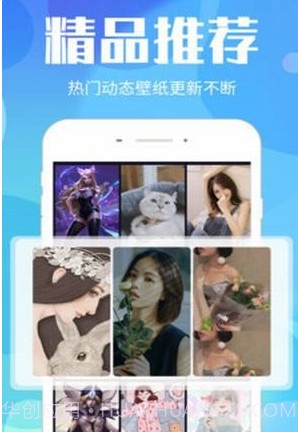 视频桌面v3.0.24截图