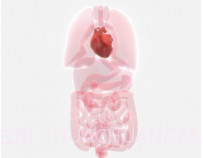 life生命模拟器汉化版v1.1.19截图