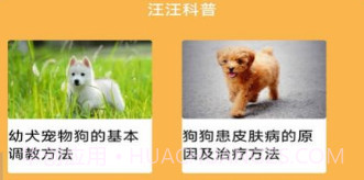 旺旺历险记v1.17截图