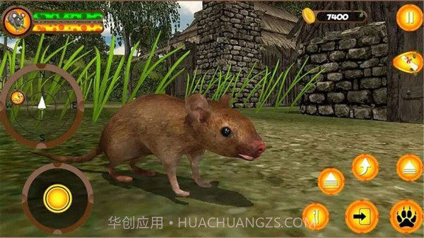 疯狂老鼠王v1.23截图