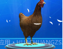 疯狂压路鸡v1.16截图