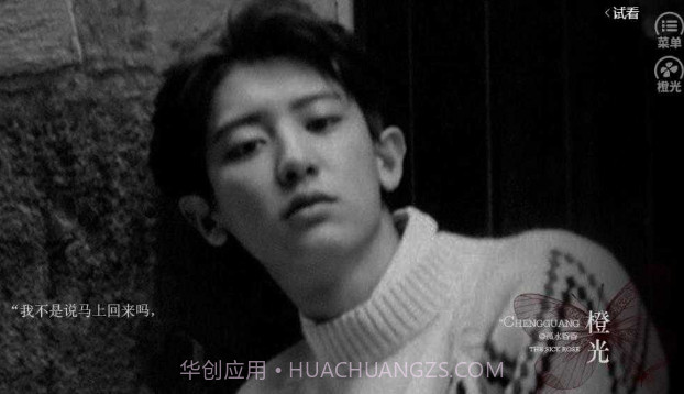 病玫瑰V1.18截图