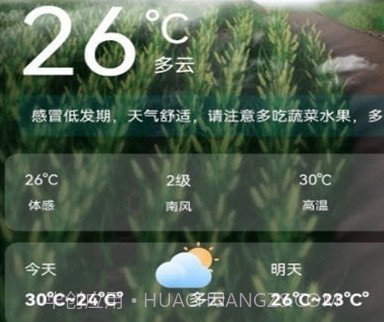 红叶天气v1.0.18截图