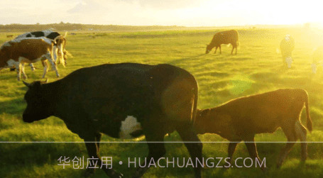 新牛智能v3.23截图