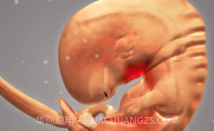 怀孕宝宝模拟器游戏v1.11.17截图