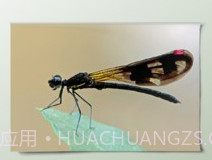 一幅相框v2.660v2.16截图