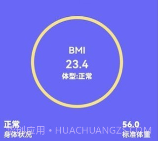 小小整理袋计算器v1.0.19截图