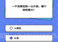 智趣猜谜v1.0.17截图