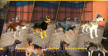 三角洲部队突击队v1.0.24截图