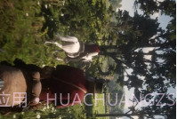 骑马狩猎模拟v1.21截图