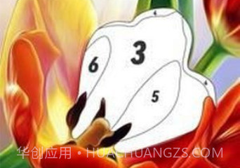 按编号花色v1.17截图