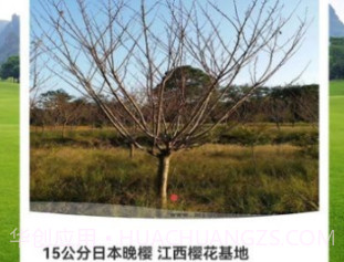 金苗网v1.0.20截图