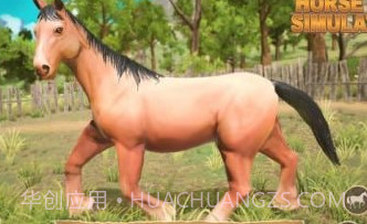 骑马世界模拟器v1.1.24截图