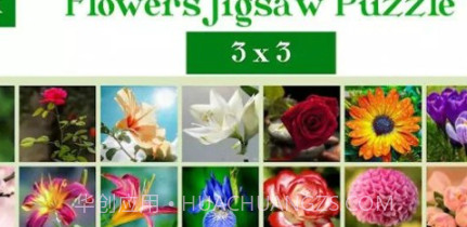 花卉拼图谜题v1.0.24截图