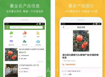宁夏农产品信息网v1.7.24截图