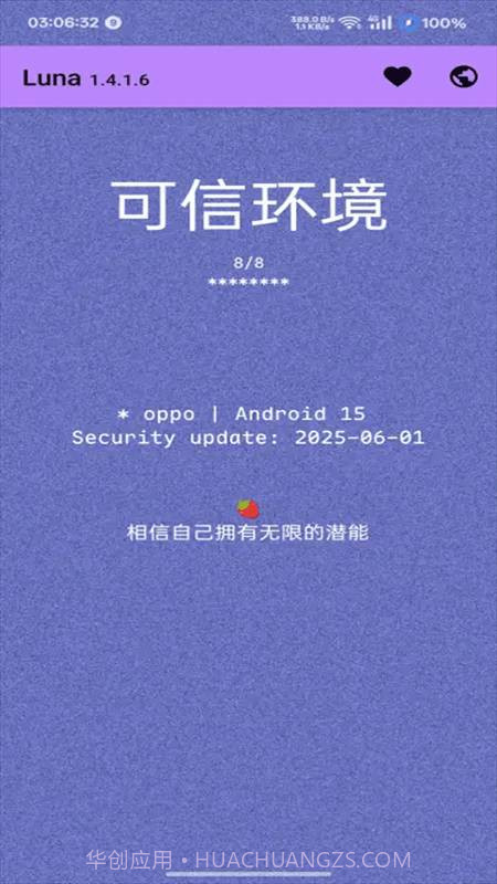 Luna环境检测工具1.4.1.9截图