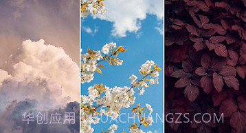 美妙壁纸馆v1.21截图