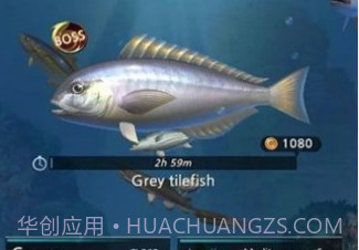 钓鱼胡克中文v1.22截图