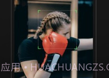 VisionS1v1.1.20截图