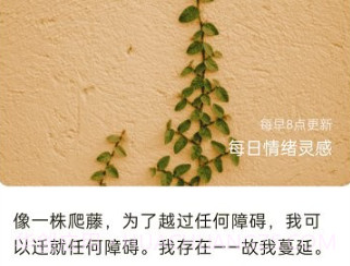 四季来电秀v1.0.21截图