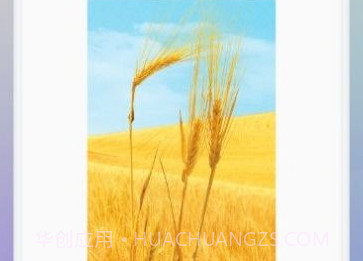 像素修图大师v1.21截图