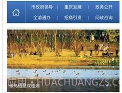 重庆政务服务网v2.3.21截图