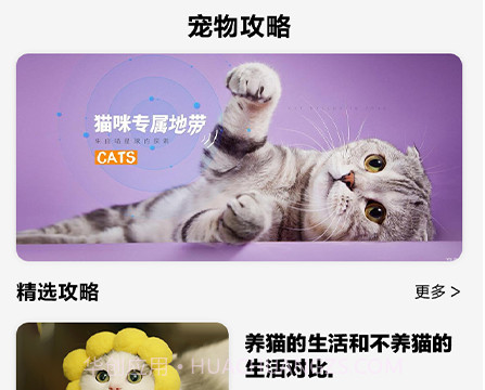 可爱喵喵壁纸大全v1.25截图