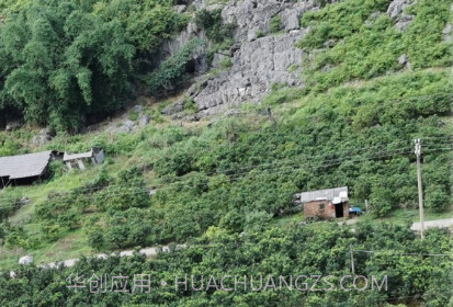 万能拍照识花免费v23.6.22截图