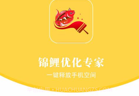 锦鲤优化专家v1.0.21截图