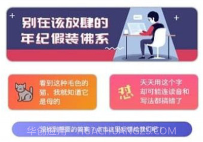 全优作业APPv2.20截图