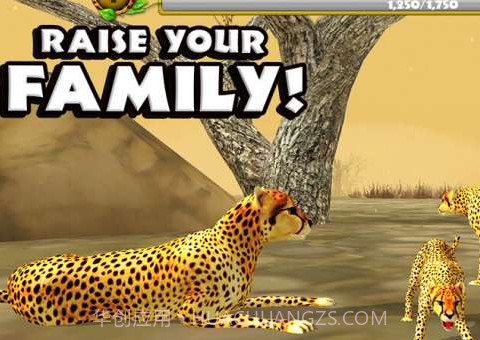 猎豹模拟v1.22截图