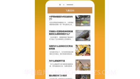 飞禽大全资讯v1.27截图