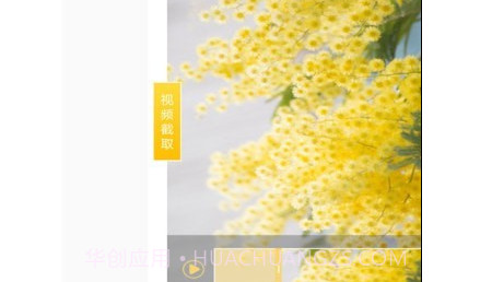 尖叫视频助手v1.0.25截图